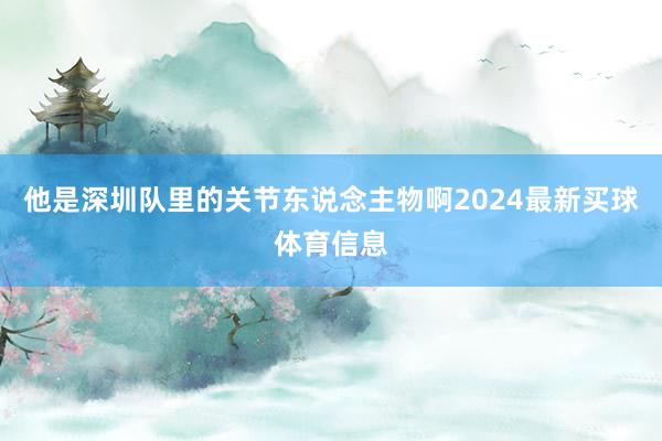 他是深圳队里的关节东说念主物啊2024最新买球体育信息