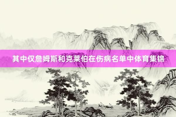 其中仅詹姆斯和克莱伯在伤病名单中体育集锦
