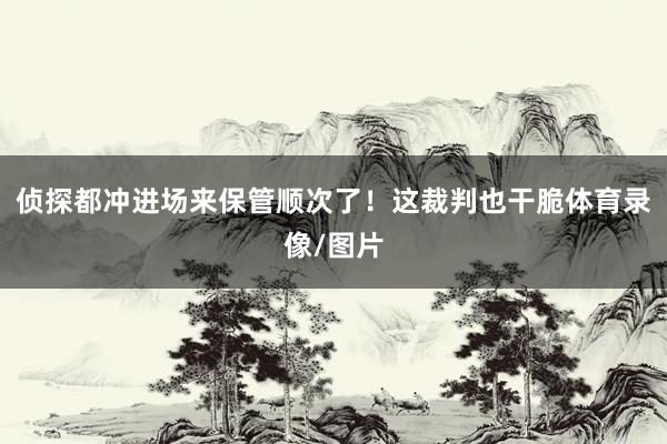 侦探都冲进场来保管顺次了！这裁判也干脆体育录像/图片