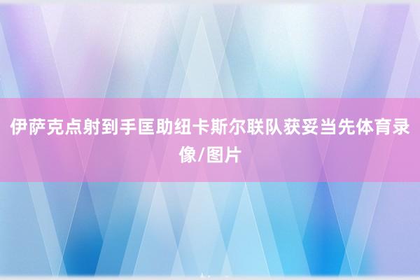 伊萨克点射到手匡助纽卡斯尔联队获妥当先体育录像/图片