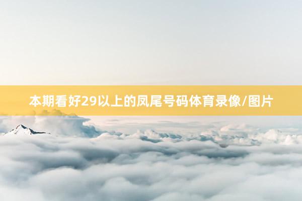 本期看好29以上的凤尾号码体育录像/图片